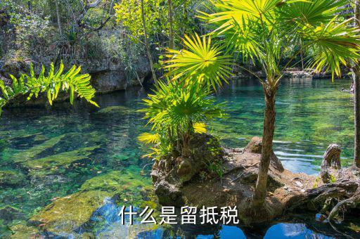 什么是留底進(jìn)項(xiàng)稅額，固定資產(chǎn)進(jìn)項(xiàng)留底稅款是什么意思呀