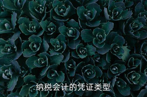 應(yīng)納稅憑證種類是什么，憑證種類999是什么