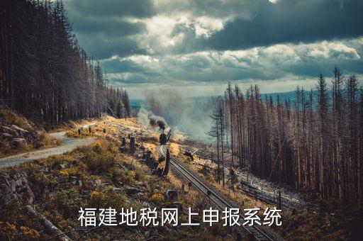 福建稅務(wù)軟件有什么，福建國稅開票軟件