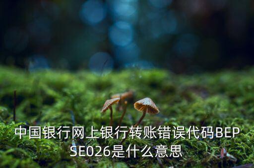 中國銀行網(wǎng)上銀行轉(zhuǎn)賬錯誤代碼BEPSE026是什么意思
