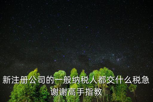 新注冊公司是什么納稅人，新辦企業(yè)是一般納稅人還是小規(guī)模納稅人