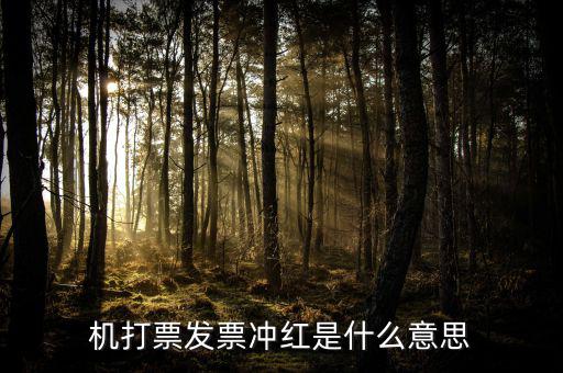 沖紅發(fā)票什么意思，單據(jù)沖紅是什么意思