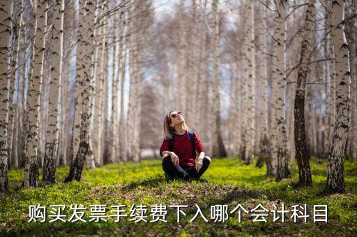購買發(fā)票手續(xù)費(fèi)下入哪個會計科目