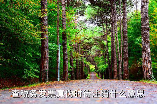 發(fā)票注銷是什么意思，國(guó)稅普通發(fā)票開(kāi)票系統(tǒng)說(shuō)在另一臺(tái)登陸和注銷什么意思