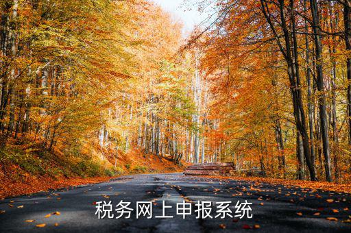 什么是稅收網(wǎng)報軟件，稅務(wù)網(wǎng)上申報系統(tǒng)