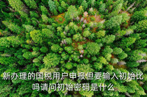 初始申報(bào)密碼是什么，小關(guān)稅務(wù)所 新企業(yè) 網(wǎng)上納稅申報(bào)初始密碼是什么