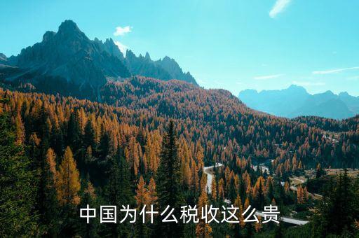 中國(guó)為什么靠稅收，中國(guó)為什么稅收這么貴