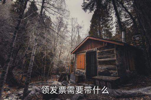 欠稅領發(fā)票需什么手，去稅務局領發(fā)票需要帶什么
