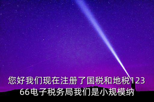 您好我們現(xiàn)在注冊(cè)了國稅和地稅12366電子稅務(wù)局我們是小規(guī)模納