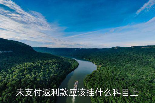 返利支出入什么科目，未支付返利款應(yīng)該掛什么科目上