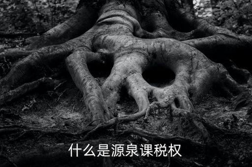 源泉稅是什么，源泉稅是什么源泉稅扣繳人是誰