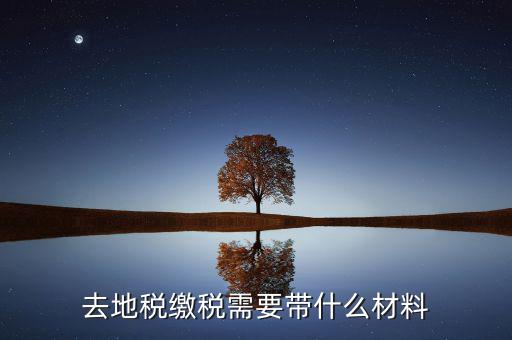 地稅局定稅要拿什么，去地稅局報(bào)稅需要拿什么東西