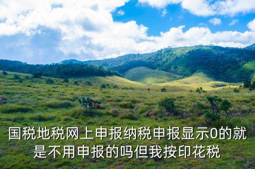 國稅申報(bào)提示0000什么意思，錯(cuò)誤代碼0000是什么意思