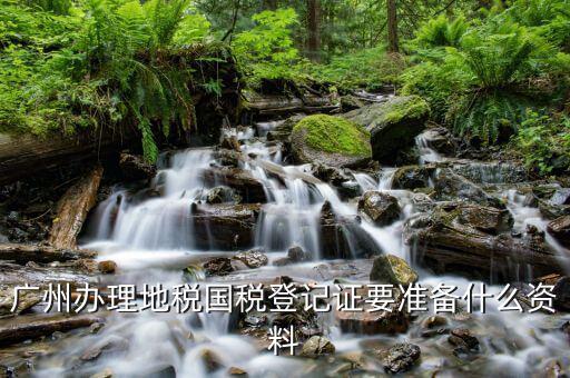 廣州地稅局辦理什么，廣州天河區(qū)地稅局在什么地方現(xiàn)在辦醫(yī)保是在地稅局辦嗎