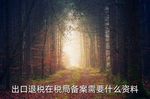 出口退稅備份什么格式，出口退稅單證備案