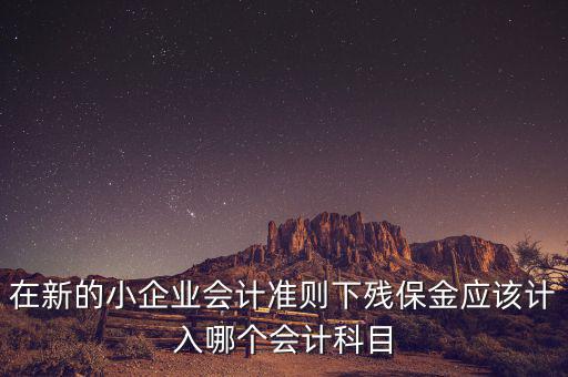 在新的小企業(yè)會計準則下殘保金應(yīng)該計入哪個會計科目