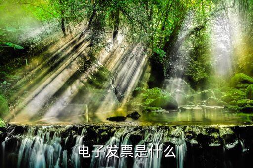 電子發(fā)票單位是什么樣的，什么叫電子發(fā)票