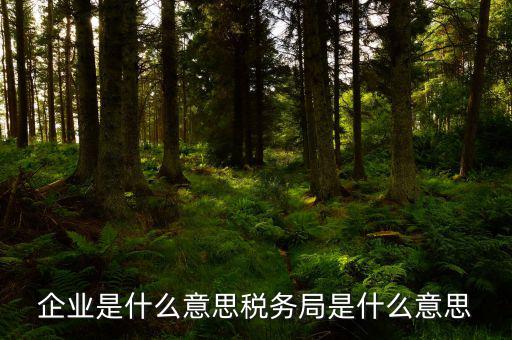 稅務局官網(wǎng)什么意思，稅官是什么意思