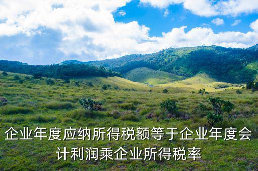 應(yīng)納稅所得額等于什么，什么是應(yīng)納稅所得額