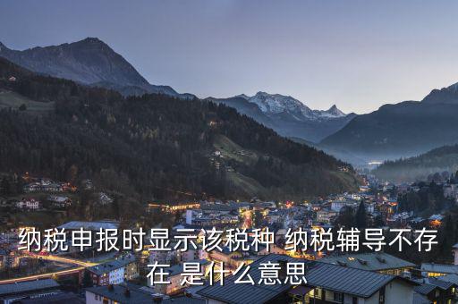 納稅輔導(dǎo)是什么意思，納稅申報(bào)時(shí)顯示該稅種 納稅輔導(dǎo)不存在 是什么意思