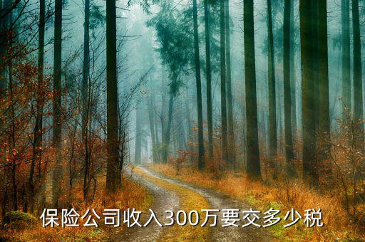 保險代理公司交什么稅，保險公司收入300萬要交多少稅