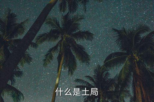 土稅局是什么意思，什么是土局
