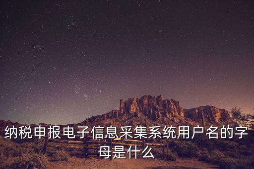 納稅人用戶編號(hào)是什么，地稅的用戶名是什么