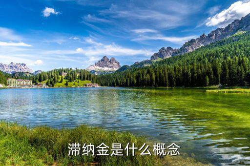 稅務(wù)局的滯納金是什么意思，稅收滯納金還有什么什么滯納金是什么意思