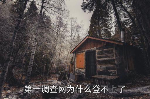 稅收調(diào)查為什么登陸不進去，為什么北京地稅局納稅申報登陸不了