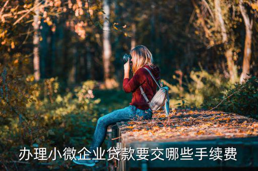 貴陽(yáng)市小微企業(yè)申請(qǐng)要交什么，申請(qǐng)小微企業(yè)需要什么