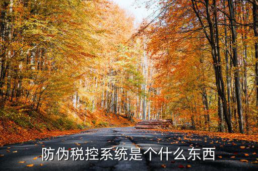 防偽稅控一體化什么時(shí)候，營(yíng)改增后漢字防偽企業(yè)抄報(bào)稅時(shí)需要使用什么設(shè)備