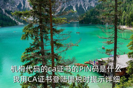 機(jī)構(gòu)代碼的ca證書的PIN碼是什么我用CA證書登陸國稅時提示詳細(xì)