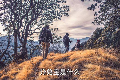 匯算寶是什么，結(jié)算寶是不是扣錢的求介紹