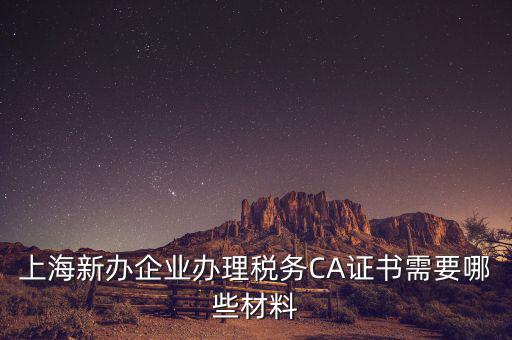 2014年7月份上海稅務局還需要審什么證，上海新辦企業(yè)辦理稅務CA證書需要哪些材料