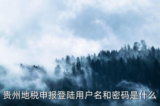 地稅登錄名密碼是什么意思，地稅申報(bào)的用戶名和密碼是什么