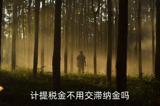 什么稅沒有滯納金，各種稅的滯納金一樣么