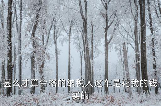 甚么才算合格的納稅人這車是花我的錢(qián)買的
