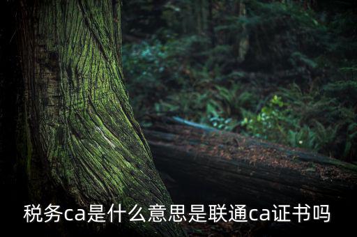 稅務ca是什么意思，去地稅簽三方協(xié)議需要以下東西第四個CA是什么意思啊