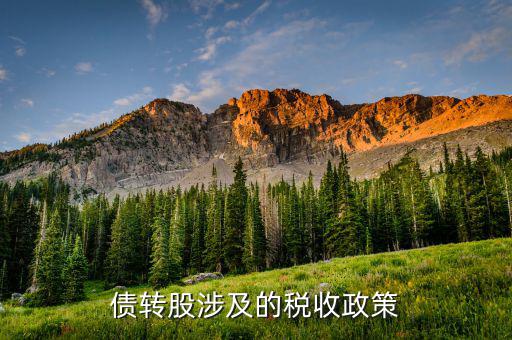 債轉(zhuǎn)股交什么稅，企業(yè)之間發(fā)生債轉(zhuǎn)股應(yīng)繳哪些稅