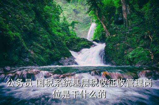基層稅務(wù)機(jī)關(guān)做什么的，公務(wù)員 國(guó)稅系統(tǒng)基層稅收征收管理崗位是干什么的