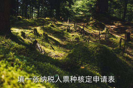 交票種核定表是什么，納稅人領購發(fā)票票種核定申請表如何填寫
