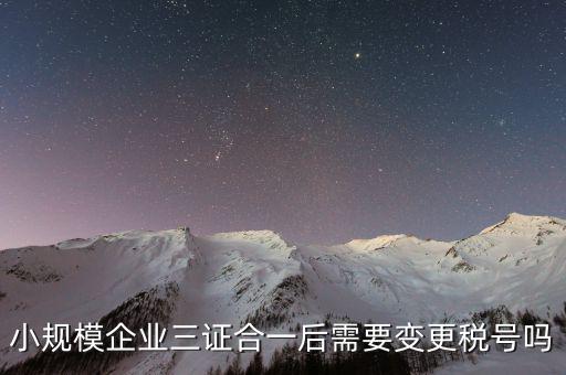 什么情況需要變更稅號(hào)，小規(guī)模企業(yè)三證合一后需要變更稅號(hào)嗎