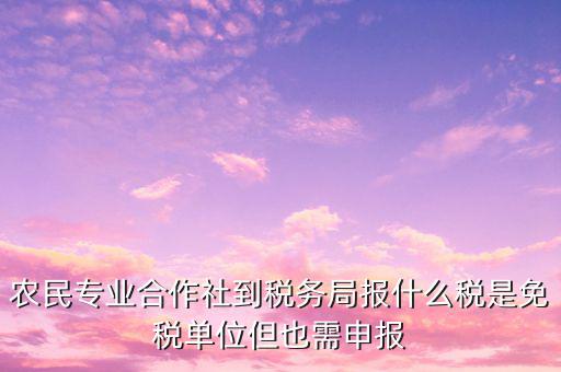 農(nóng)村合作社交什么稅，農(nóng)民合作社每個(gè)月要申報(bào)什么稅