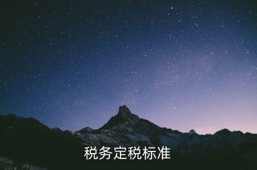 定稅是什么標(biāo)準(zhǔn)，稅務(wù)定稅標(biāo)準(zhǔn)