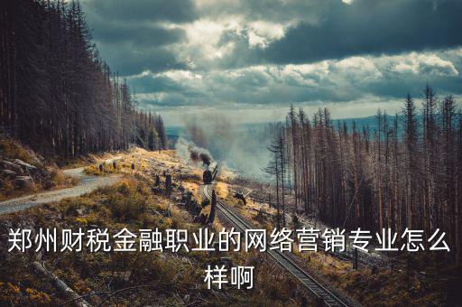 互聯(lián)網(wǎng)財(cái)稅銷(xiāo)售是什么，鄭州財(cái)稅金融職業(yè)的網(wǎng)絡(luò)營(yíng)銷(xiāo)專(zhuān)業(yè)怎么樣啊