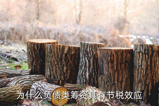 什么是節(jié)稅，為什么負(fù)債類籌資具有節(jié)稅效應(yīng)