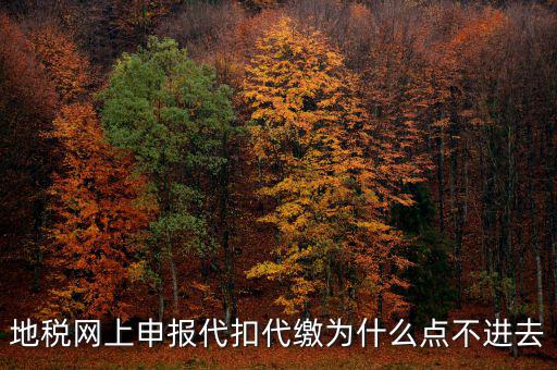 地稅從租計(jì)征為什么無法點(diǎn)開，地稅網(wǎng)上申報(bào)代扣代繳為什么點(diǎn)不進(jìn)去
