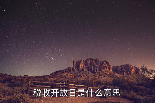 國(guó)稅開放日是什么意思，稅收開放日是什么意思