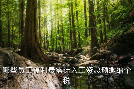 什么樣的福利費要交個稅，什么樣的福利費不需要交納個人所得稅呢