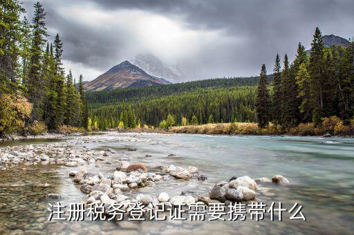 登記稅務(wù)需要帶什么資料，公司注冊(cè)稅務(wù)登記需要哪些資料